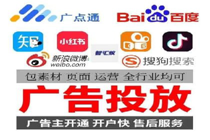 某某企业SEM推广成功案例：打造品牌营销新模式